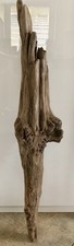 Treibholz treibgut skulptur gebraucht kaufen  Pfaffenhofen a.d.Roth