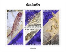 Fossils prehistoric animals for sale  PONTYPRIDD