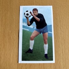 Sicker 1966 351 gebraucht kaufen  Haste