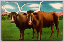 Postcard texas long for sale  Midlothian
