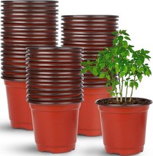 Augshy nursery pot for sale  Pickerington