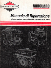 Briggs and stratton usato  Bergamo