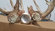 Mass 180 whitetail for sale  Florence