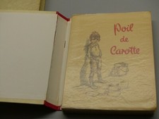 Jules renard poil d'occasion  Romans-sur-Isère