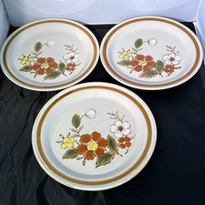 Vintage 70s mountain for sale  League City