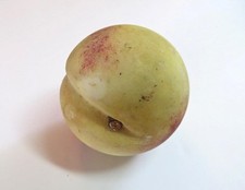 Great ripe peach for sale  Saugerties