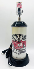 Wisconsin badgers bucky for sale  Green Bay