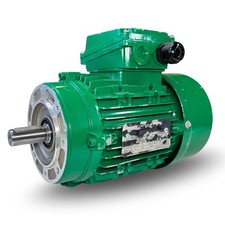 Hoyer motors ms802 for sale  Springville