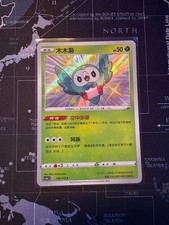 pokemon bauz holo gebraucht kaufen pokemon bauz holo gebraucht kaufen Paderborn