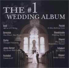 Wedding album audio for sale  Montgomery