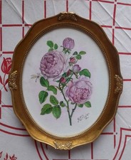 Framed watercolour rose for sale  PRESTON