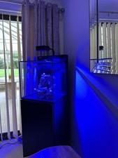 Red sea max for sale  MANCHESTER