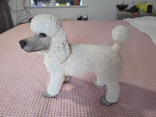 Large beautiful white for sale  TONBRIDGE