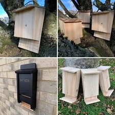 Bat box house for sale  POOLE