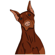 Dobermann stickers self for sale  UK