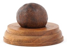 Meteorite turned wood for sale  HASTINGS