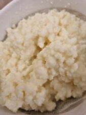 Graines kefir lait d'occasion  Bourg-de-Péage