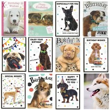 Cute puppies quality for sale  BURTON-ON-TRENT