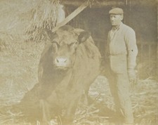Black angus beef for sale  Lexington