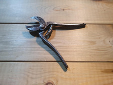Vintage parrot beak for sale  SWANSEA