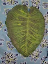 Pier imports melamine for sale  Newman Lake