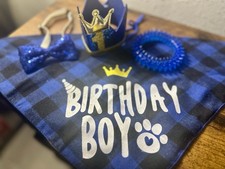 Dog birthday boy for sale  Pompano Beach