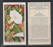 Cigarette cards wills for sale  MIDHURST