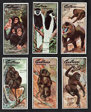 Apes monkeys series for sale  BRIDPORT