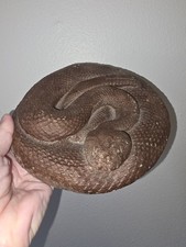 Brown rattle snake for sale  Hico
