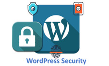 Secure wordpress website for sale  New York