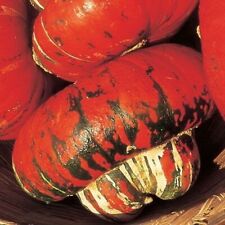 Semi zucca turca usato  Italia