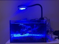 2.5 gallon pnw for sale  USA
