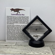 Tyrannosaurus rex rex for sale  Davenport
