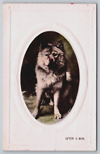 Hand tinted rppc for sale  Clarence Center