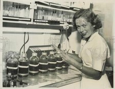 1953 Técnica de laboratório de fotografia de imprensa Mary Bradley no trabalho - lra39066 comprar usado  Enviando para Brazil