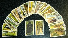 Brooke bond african for sale  LEIGHTON BUZZARD