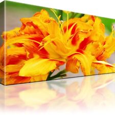 Blume tulpe pflanzen gebraucht kaufen  Deutschland