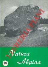 Entomologia formiche bonelli usato  Italia