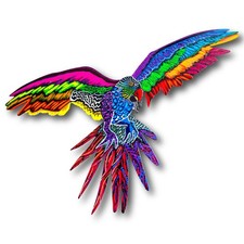 Patricia Govezensky- Pintura original em aço cortado a laser "arara" comprar usado  Enviando para Brazil