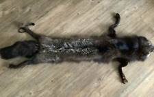 Vintage silver fox for sale  HORSHAM