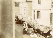 Chêne centenaire charette d'occasion  Pagny-sur-Moselle