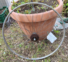 Ruota tubolare posteriore usato  Foligno