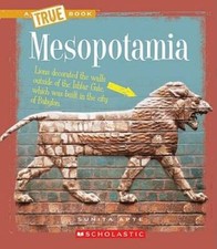 Mesopotamia library binding for sale  Montgomery
