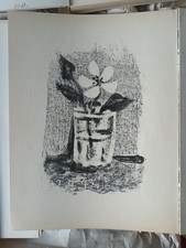 Pablo picasso riginal gebraucht kaufen  München