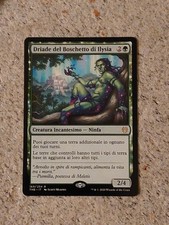 Mtg magic the usato  Belgirate