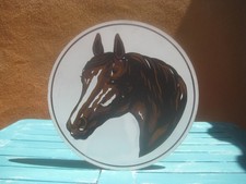 Unframed brown horse for sale  Saint David
