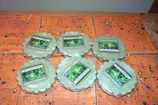 Yankee candle grapevine for sale  USA
