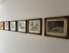 Set six prints for sale  HEREFORD