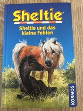 Sheltie kleine fohlen gebraucht kaufen  Kirchheimbolanden