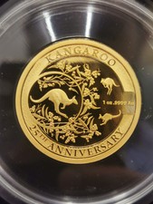 Känguru 2018 25th gebraucht kaufen  Ingolstadt